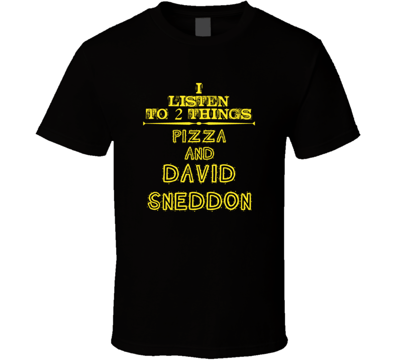 I Listen To 2 Things Pizza And David Sneddon Cool T Shirt