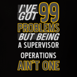 13698283