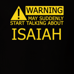 17371761