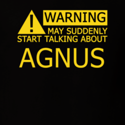17378748