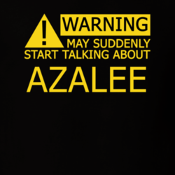 17379779