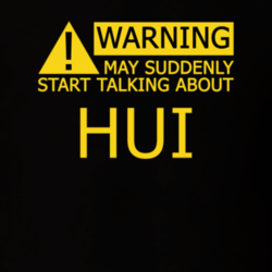 17384127