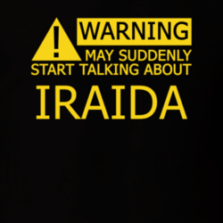 17384288