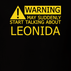 17386809