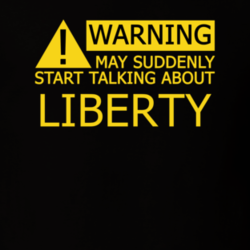 17386893